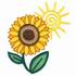 Sunflower & Sun