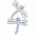 Dragonflies 2