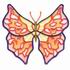 Kaleidoscope Butterfly