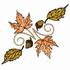 Acorns, Maple & Elm Leaves