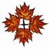 Maple Leaves Design