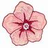 Hibiscus Blossom Mini