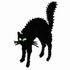 Black Cat