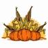 Pumpkins & Corn Stalks