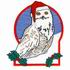 Christmas Snowy Owl