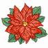 Red Poinsettia