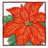 Poinsettia Portrait