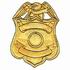 Security Badge