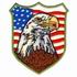 American Eagle Shield