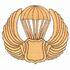 Smoke Jumper's Badge