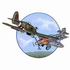 WWII Dogfight #I