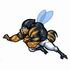 Football Hornet