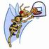 Hoopin' Hornet