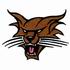 Wildcats Logo