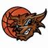 Wildcats Womens Basketball