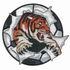 Tigers Soccer