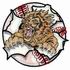 Lions Baseball