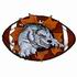 Timberwolves Football