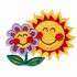 Sun & Flower