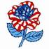 American Rose