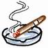 Cigar in Ashtray
