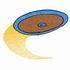 Discus