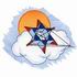 Tumbling Star Kite
