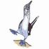 Blue-Footed Booby