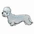 Dandie Dinmont Terrier