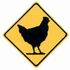 Chicken Crossing