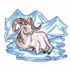 Dall Sheep