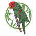 Red-Masked Conure