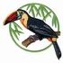 Red-Billed Toucan