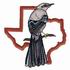Mockingbird - Texas
