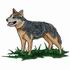 Australian Cattle Dog