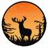 Buck