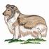 Collie