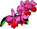 PLFL4004