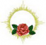 rose207