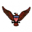 SHIELDED EAGLE