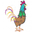 ROOSTER