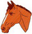 PFERD1_1
