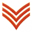SERGEANT STRIPES