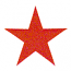 LARGE STAR