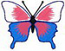 Butterflyle