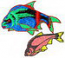 fisch13