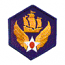 6TH AIR FORCE