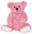 baer529