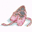BALLET SHOES