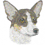 TOY FOX TERRIER